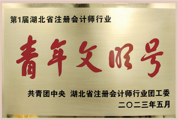 第1届湖北省注册会计师行业 “青年文明号”