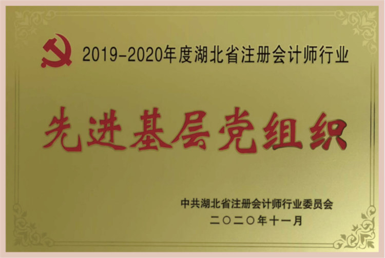 2019-2020年度湖北省注册会计师行业 “先进基层党组织”