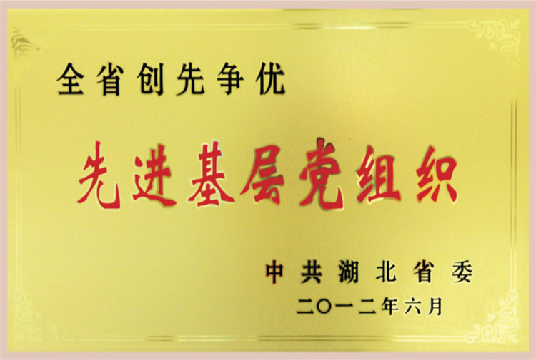 全省争先创优先进基层党组织