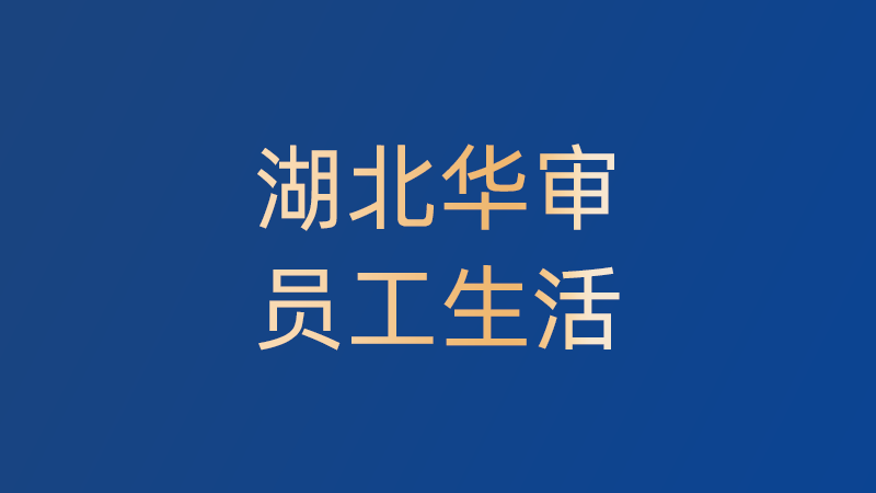 华审的2016，2016“我”在华审