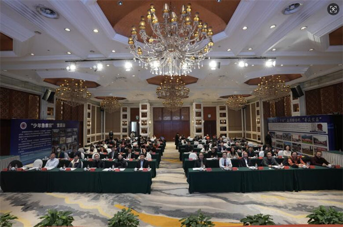 刘菲菲、邓云赋参加宜昌市新联会2024年度工作总结汇报大会