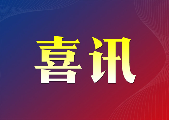 刘菲菲任宜昌市建筑业协会工程咨询专委会主任