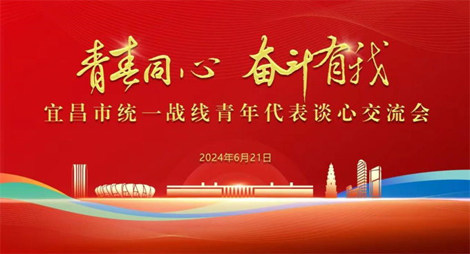 全市统一战线“青春同心·奋斗有我”青年代表谈心交流活动走进湖北华审