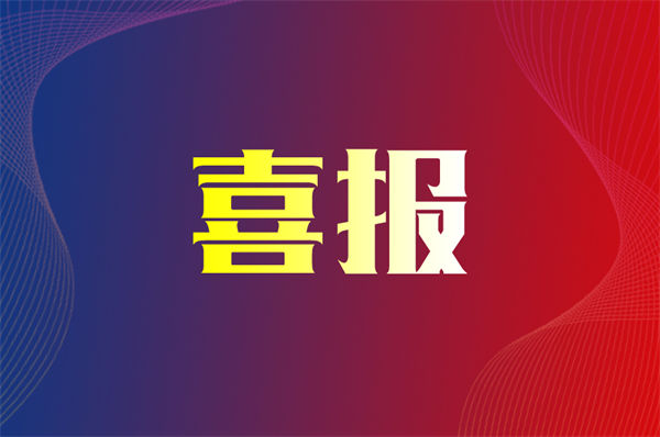 湖北华审评估公司顺利通过国家级检查