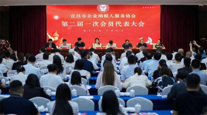 刘菲菲当选宜昌市企业纳税人服务协会第二届理事会理事